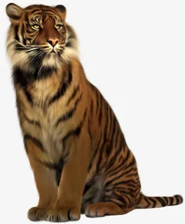 手绘花纹老虎免抠