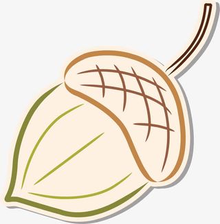 矢量手绘松子贴纸免抠