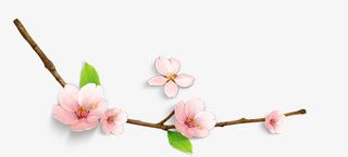 一枝桃花免抠