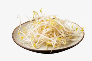 新鲜的绿豆芽免抠