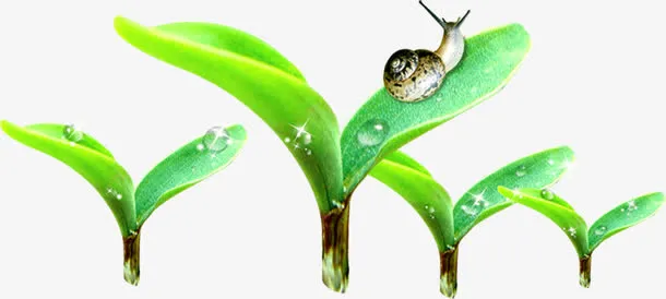 春天嫩芽水滴蜗牛免抠