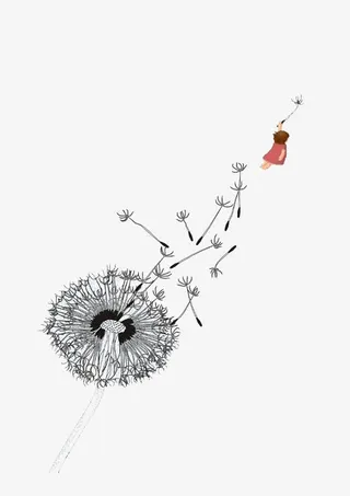 手绘蒲公英插画免抠