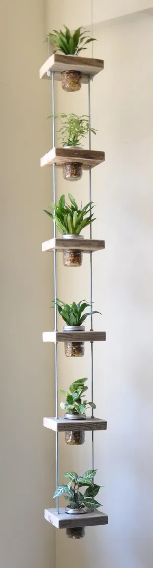 高清摄影室内家具植物免抠