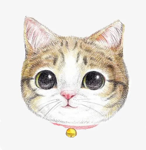 卡通手绘小猫免抠