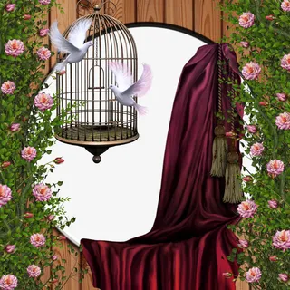 最美相框 260免抠