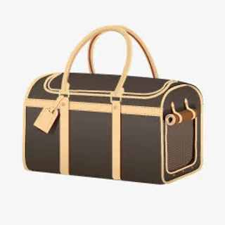 LV名牌包菜鸟图库标下载免抠