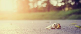 简约净水器促销活动背景素材高清