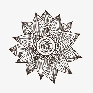 手绘荷花纹理免抠