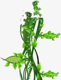春天清新绿叶藤蔓植物装饰免抠