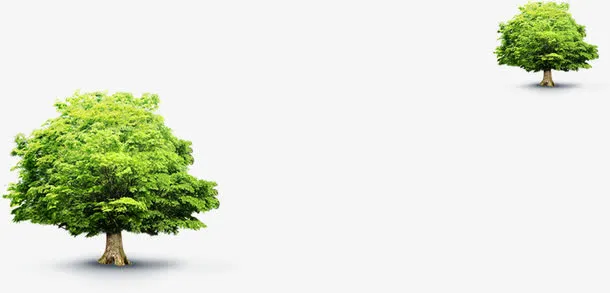 春天公园大树景观免抠