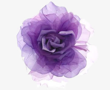 紫色花朵免抠