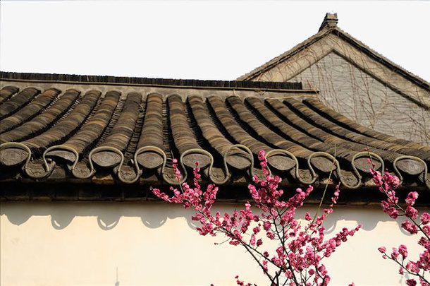 一枝红杏出墙来屋檐角免抠