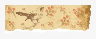 矢量纸张撕开黄色小清新方形小鸟免抠