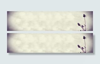 淘宝全屏海报banner