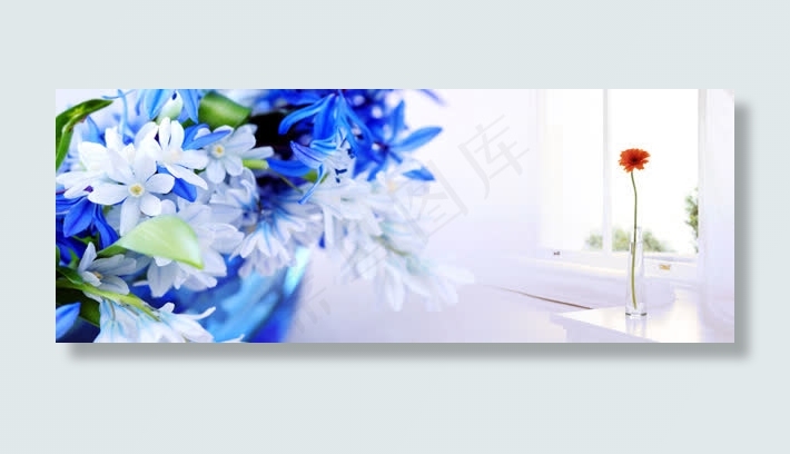 唯美花朵海报免抠