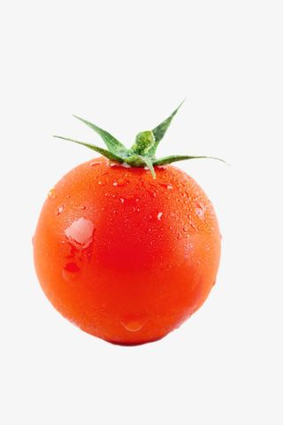 实物新鲜红色带藤水珠樱桃番茄免抠