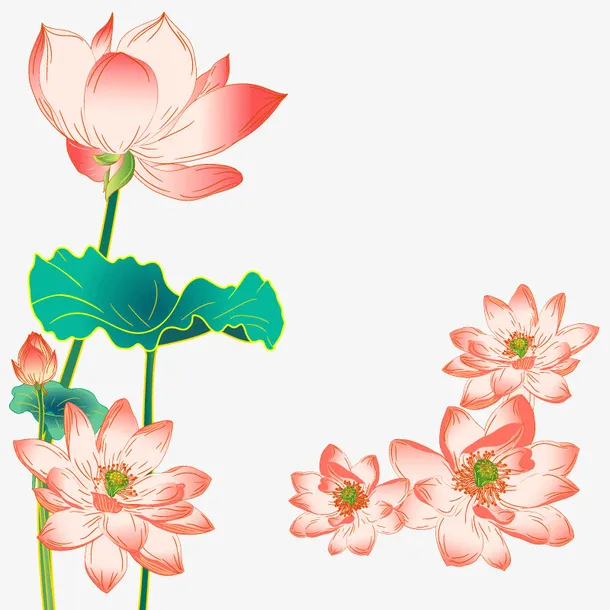 夏日味道荷花免抠