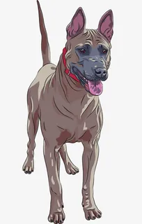 凶恶的大狗免抠