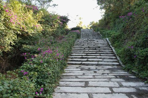 鼓浪屿花丛小路免抠