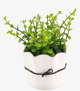 创意仿真盆栽免抠