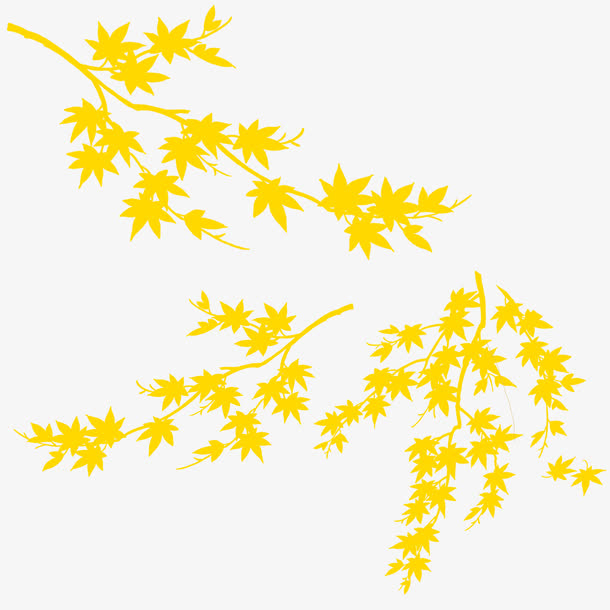 免扣黄色枫叶免抠