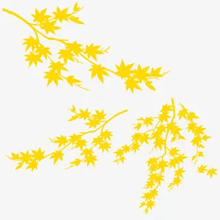 免扣黄色枫叶免抠