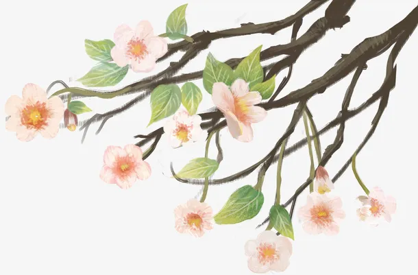 春天装饰鲜花素材免抠