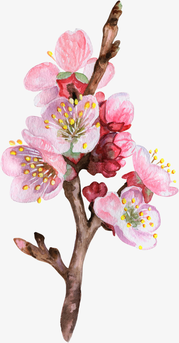 水彩桃花手绘简图免抠