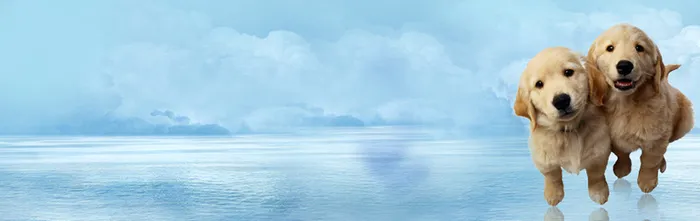 浅蓝色背景高清