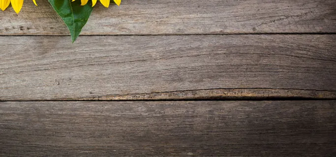 绿叶与木板背景图片高清