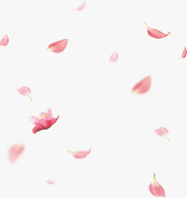 漂浮春天风景花瓣免抠