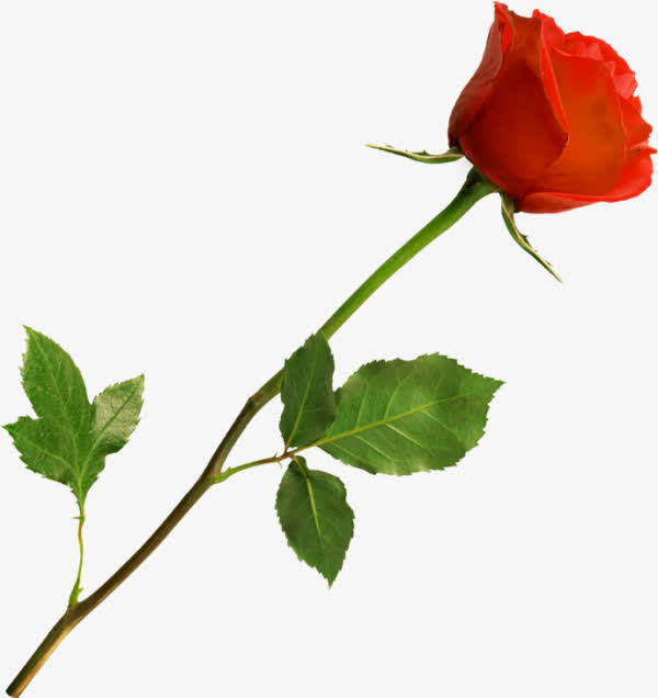 情人节元素免抠