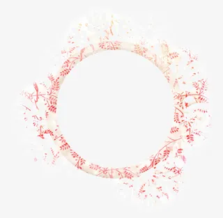 鲜花圆框白色花边免抠