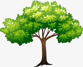 春天茂密绿色大树免抠