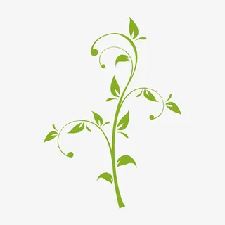 欧式花纹边框免抠