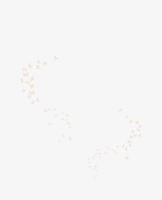 蝴蝶漂浮透明素材免抠