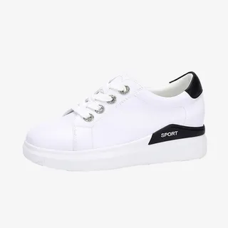 骆驼男女鞋免扣素材免抠