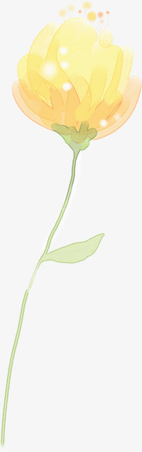 淡雅黄色花朵免抠