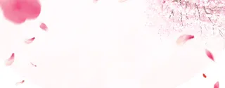 浪漫梦幻桃花花瓣淘宝海报背景高清