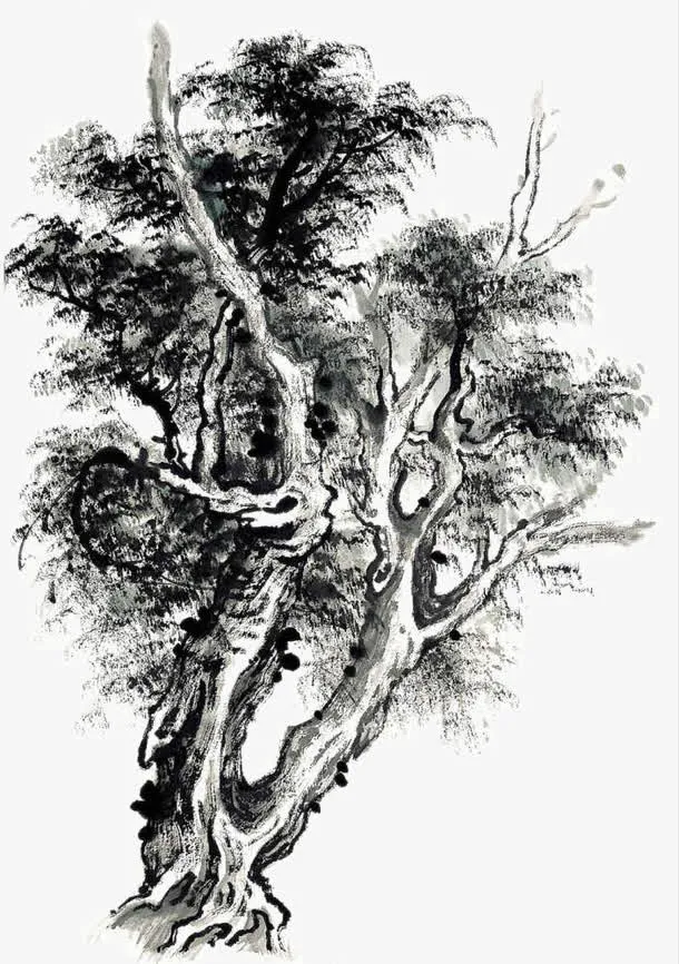 写意松树免抠