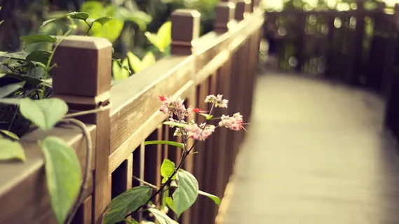 花园栅栏小清新壁纸免抠