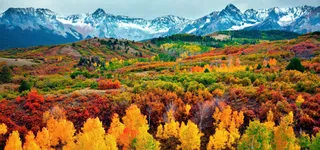 五彩缤纷的山坡免抠