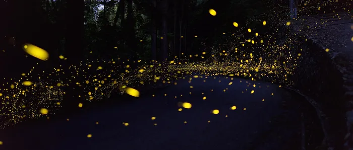 唯美梦幻背景高清
