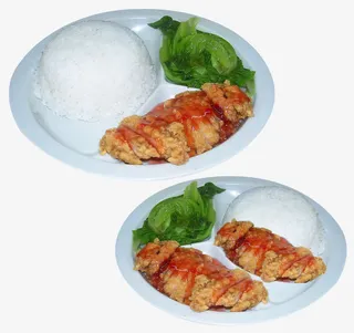 两份番茄汁鸡扒饭免抠