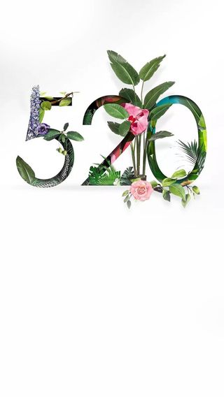 白色手绘植物520海报背景高清