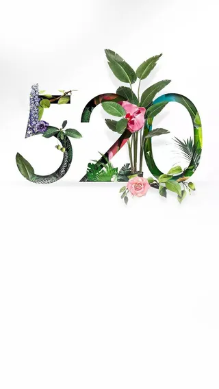 白色手绘植物520海报背景高清