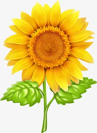 手绘卡通装饰花瓣花草装饰海报设免抠