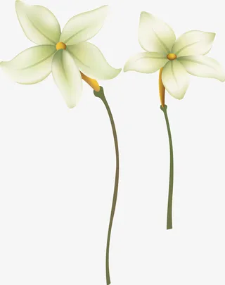 百合花花瓣百合花矢量图免抠