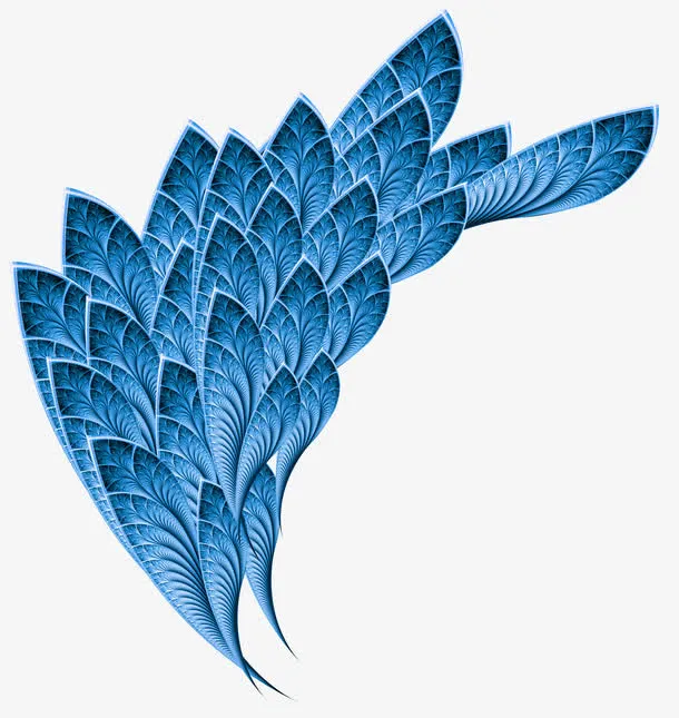 羽毛免抠