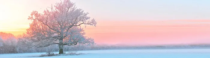 冬天雪景banner创意设计高清